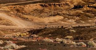 如何在开放世界里做精灵对战？它做出了一套新的设计